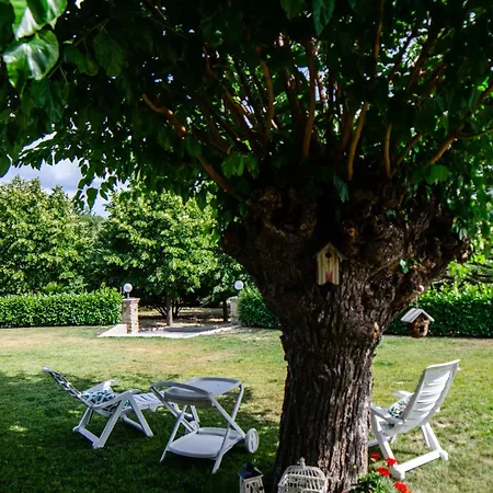 Cascina Il Gelso Mornese