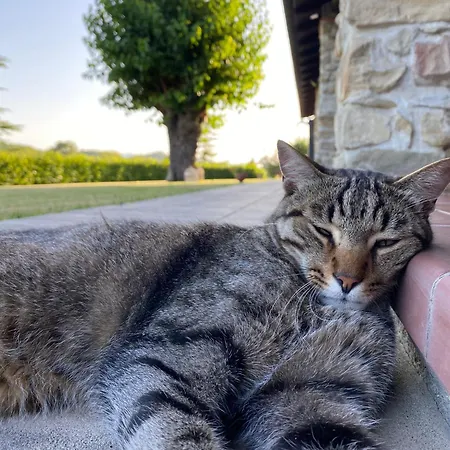 Cascina Il Gelso Oda ve Kahvaltı