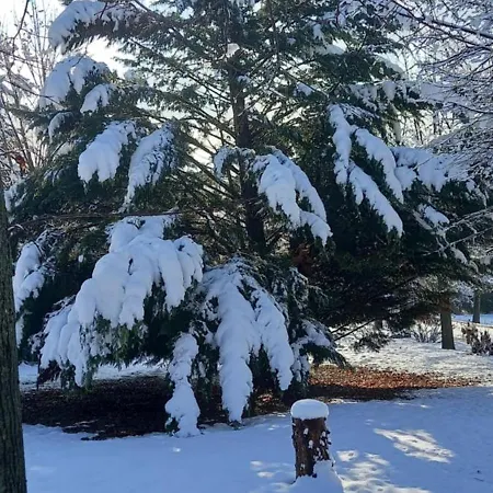 Oda ve Kahvaltı Cascina Il Gelso 3*