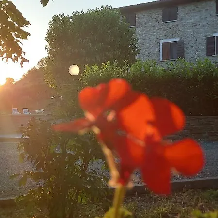 Cascina Il Gelso Bed & Breakfast Mornese